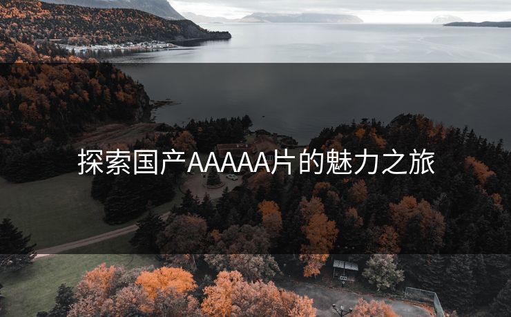 探索国产AAAAA片的魅力之旅 探索国产AAAAA片的魅力之旅