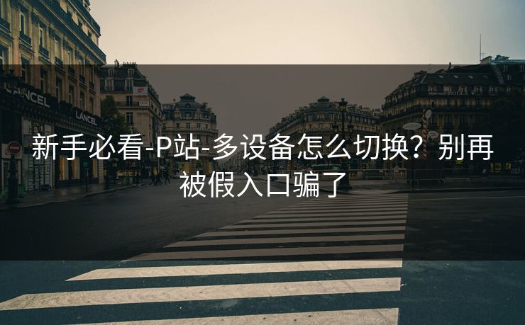 新手必看-P站-多设备怎么切换？别再被假入口骗了