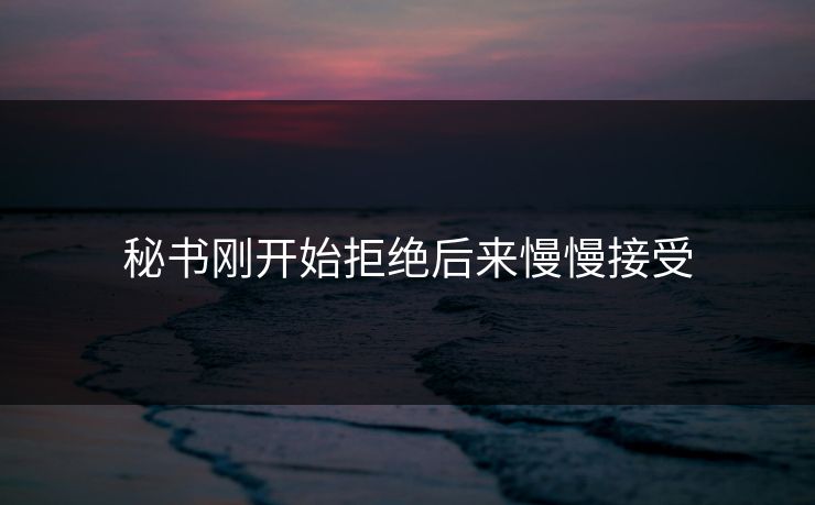 秘书刚开始拒绝后来慢慢接受